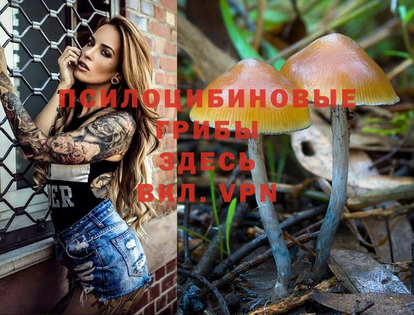 spice Армянск