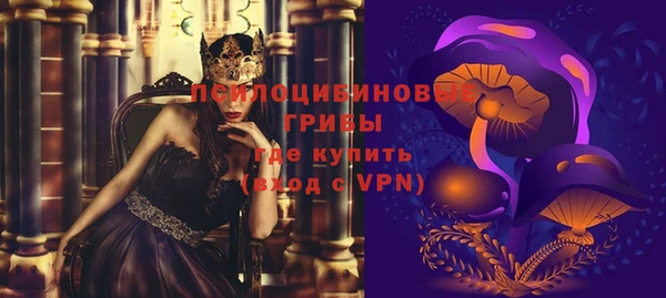 spice Армянск