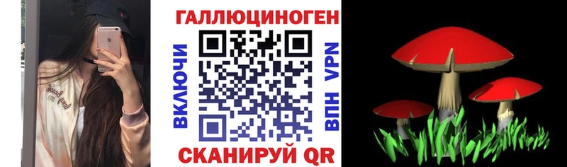 наркота  Верхоянск  shop официальный сайт  Галлюциногенные грибы Cubensis  hydra зеркало 